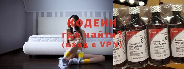 прущие грибы Балахна