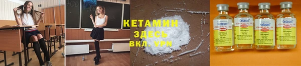 прущие грибы Балахна