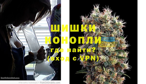 прущие грибы Балахна