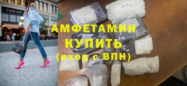 прущие грибы Балахна