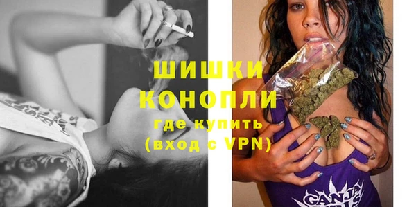 прущие грибы Балахна
